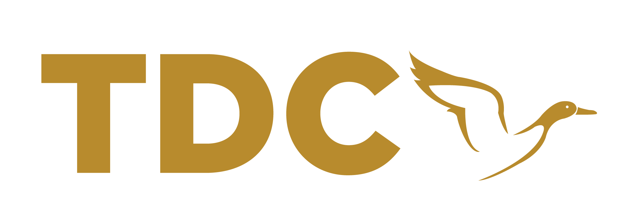 Member TDC Holdings Sdn Bhd Member TDC Holdings Sdn Bhd